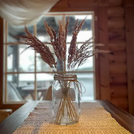 Konnekoski, Pearl Front Of Etelae-konnevesi National Park Rautalampi