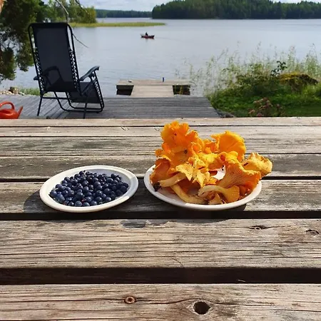 Апартаменты Konnekoski, Pearl Front Of Etelae-konnevesi National Park Rautalampi