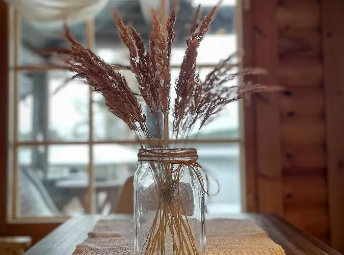 Konnekoski, Pearl Front Of Etelae-konnevesi National Park Rautalampi