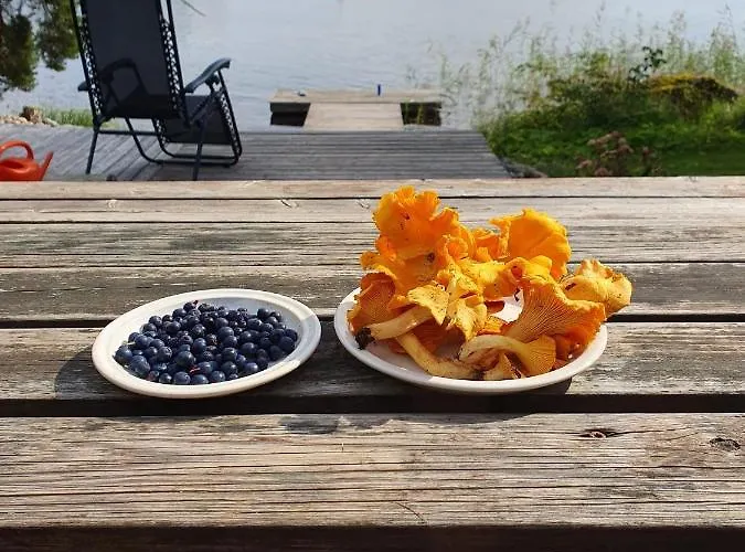 Apartment Konnekoski, Pearl Front Of Etelae-konnevesi National Park Rautalampi